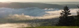 biodata GmbH