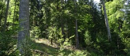 biodata GmbH