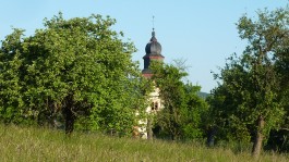 biodata GmbH